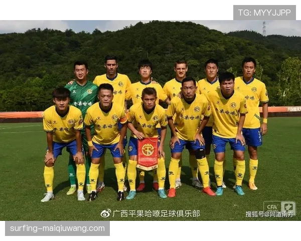 广西平果哈嘹能否在中甲下半程延续黑马势头成为焦点